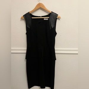 Calvin Klein Petulum dress
